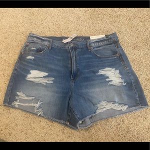 Size 16 American Eagle Jean Shorts